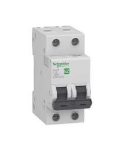 INT. TERMOMAG. EASY9 BIPOLAR 40A 4,5KA C